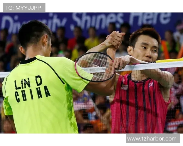 成都羽毛球队战术解析与表现评估大满贯赛事回顾