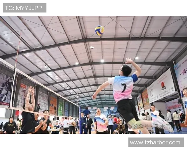 排球巨献:深入解析杭州排球队的耐力训练与竞技精神