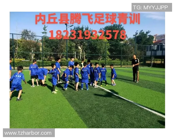 模仿某国足球明星的技巧与风格解析,助你在球场上闪耀光芒