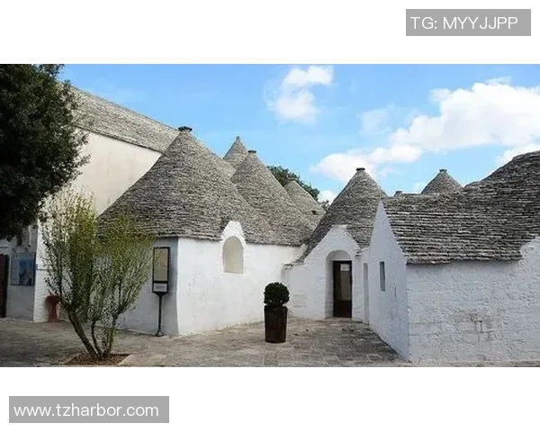 意大利与足球的完美结合：探索意大利混血球员的独特魅力与影响力